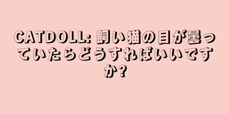 CATDOLL: 飼い猫の目が曇っていたらどうすればいいですか?