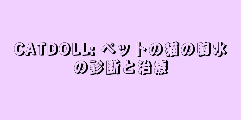 CATDOLL: ペットの猫の胸水の診断と治療