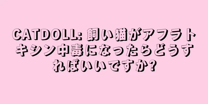 CATDOLL: 飼い猫がアフラトキシン中毒になったらどうすればいいですか?