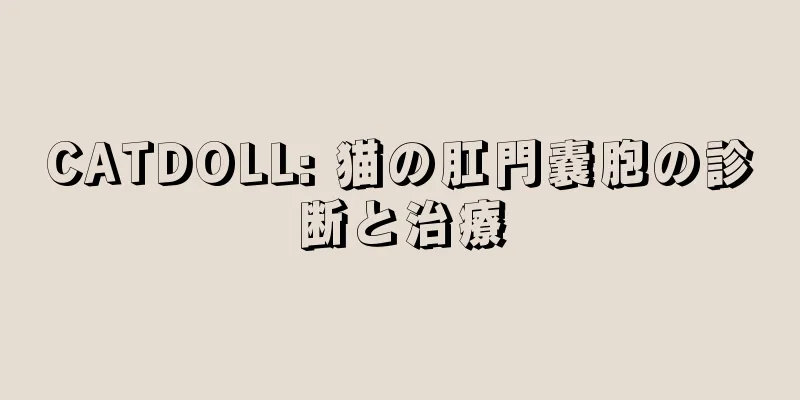 CATDOLL: 猫の肛門嚢胞の診断と治療