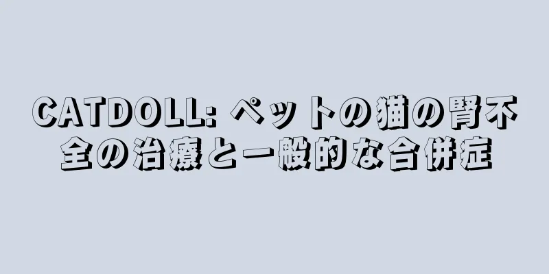 CATDOLL: ペットの猫の腎不全の治療と一般的な合併症