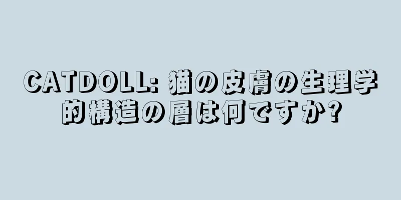 CATDOLL: 猫の皮膚の生理学的構造の層は何ですか?