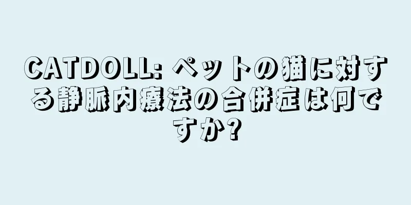 CATDOLL: ペットの猫に対する静脈内療法の合併症は何ですか?