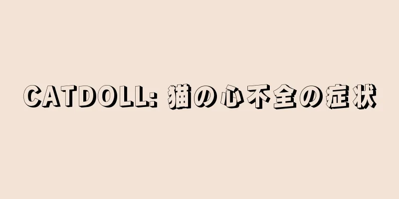 CATDOLL: 猫の心不全の症状