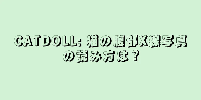 CATDOLL: 猫の腹部X線写真の読み方は？