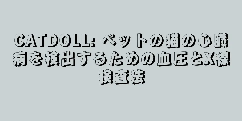 CATDOLL: ペットの猫の心臓病を検出するための血圧とX線検査法