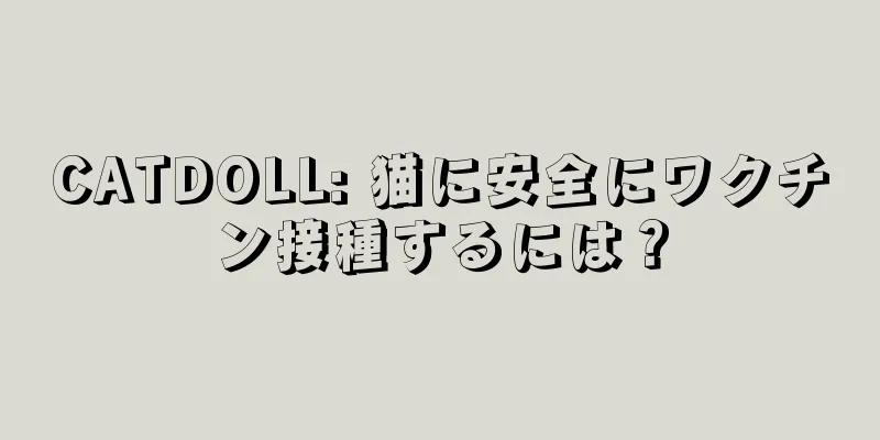 CATDOLL: 猫に安全にワクチン接種するには？