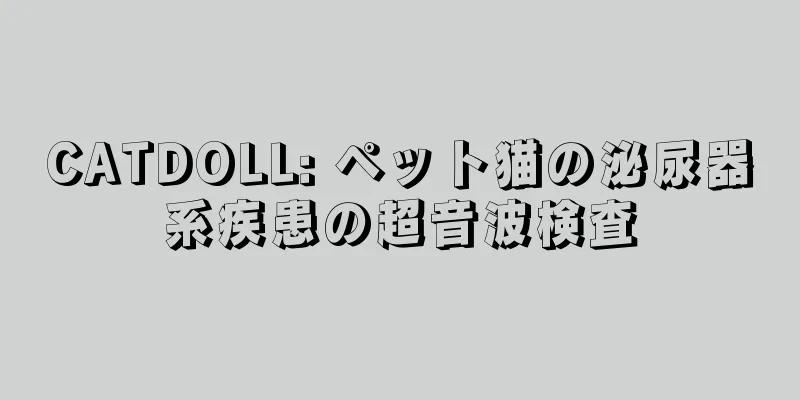 CATDOLL: ペット猫の泌尿器系疾患の超音波検査