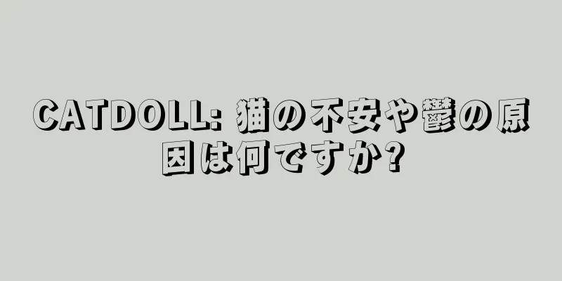 CATDOLL: 猫の不安や鬱の原因は何ですか?