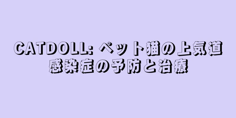 CATDOLL: ペット猫の上気道感染症の予防と治療