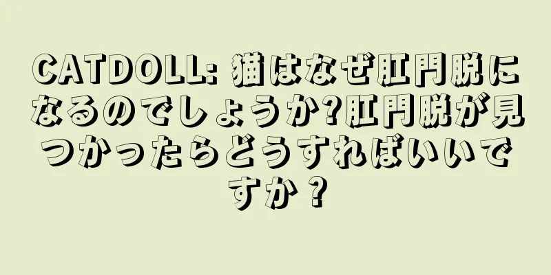 CATDOLL: 猫はなぜ肛門脱になるのでしょうか?肛門脱が見つかったらどうすればいいですか？