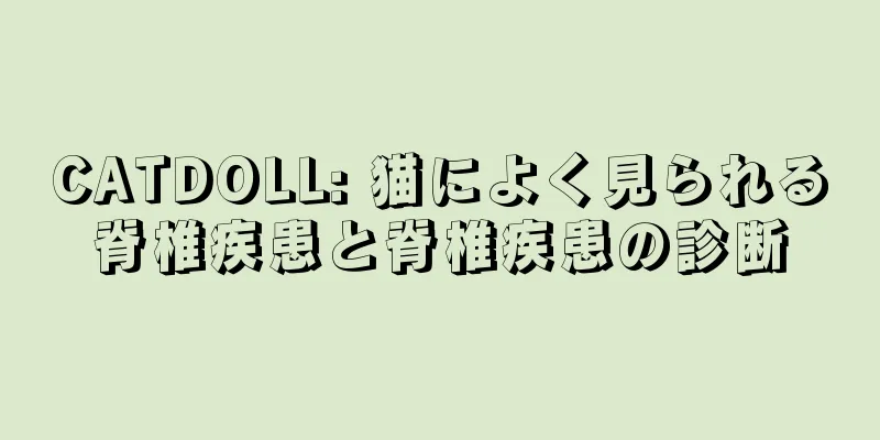CATDOLL: 猫によく見られる脊椎疾患と脊椎疾患の診断