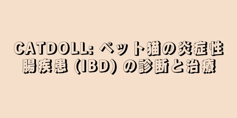 CATDOLL: ペット猫の炎症性腸疾患 (IBD) の診断と治療