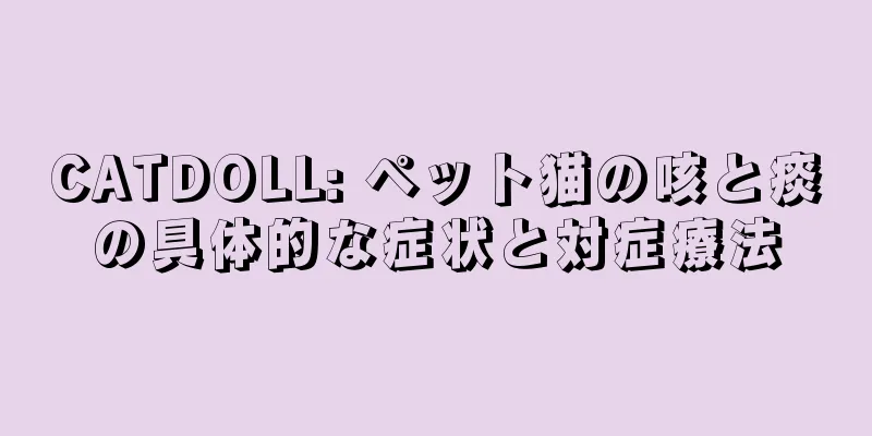 CATDOLL: ペット猫の咳と痰の具体的な症状と対症療法