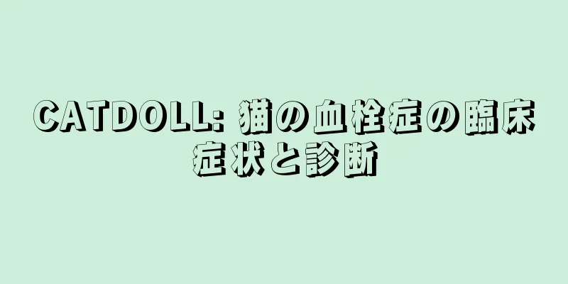 CATDOLL: 猫の血栓症の臨床症状と診断