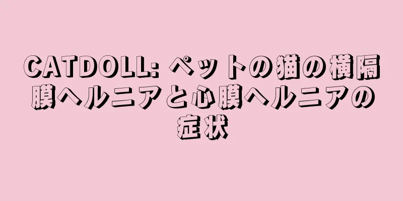 CATDOLL: ペットの猫の横隔膜ヘルニアと心膜ヘルニアの症状