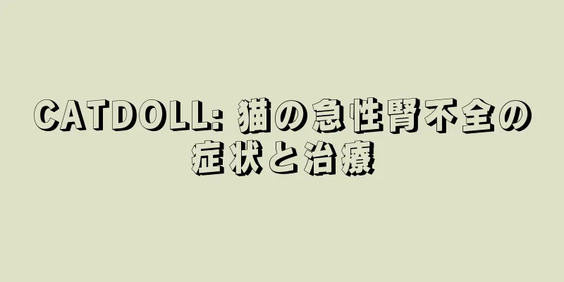CATDOLL: 猫の急性腎不全の症状と治療