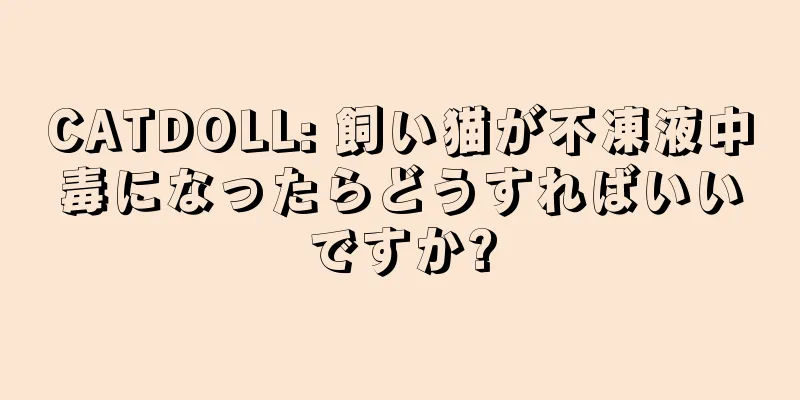 CATDOLL: 飼い猫が不凍液中毒になったらどうすればいいですか?