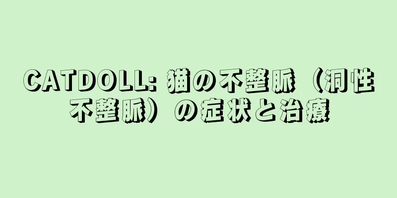 CATDOLL: 猫の不整脈（洞性不整脈）の症状と治療