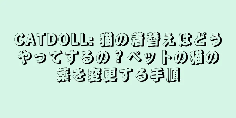CATDOLL: 猫の着替えはどうやってするの？ペットの猫の薬を変更する手順