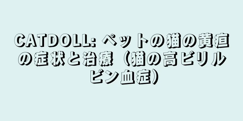 CATDOLL: ペットの猫の黄疸の症状と治療（猫の高ビリルビン血症）