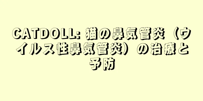 CATDOLL: 猫の鼻気管炎（ウイルス性鼻気管炎）の治療と予防