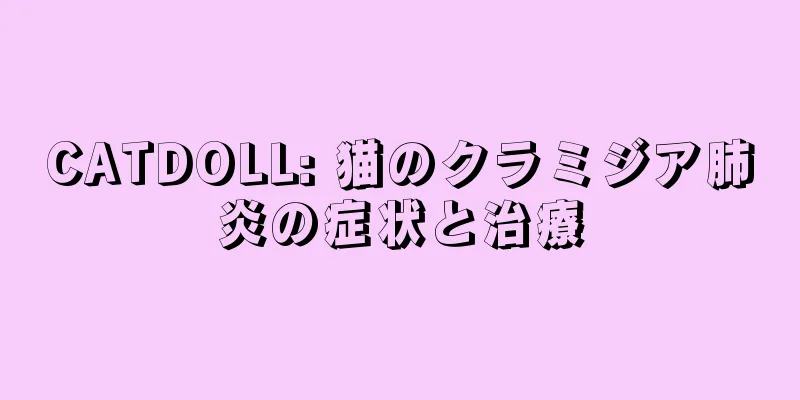CATDOLL: 猫のクラミジア肺炎の症状と治療