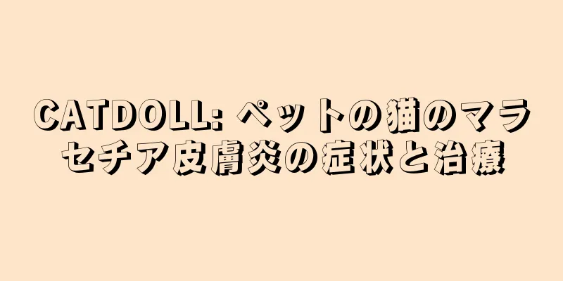 CATDOLL: ペットの猫のマラセチア皮膚炎の症状と治療