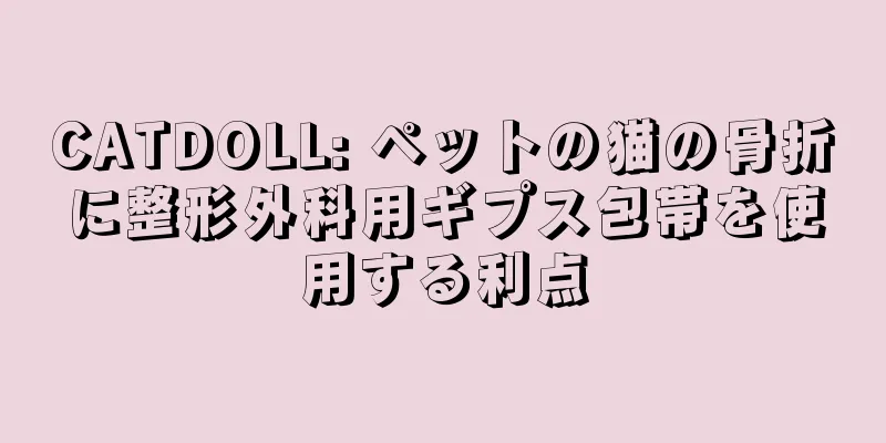 CATDOLL: ペットの猫の骨折に整形外科用ギプス包帯を使用する利点