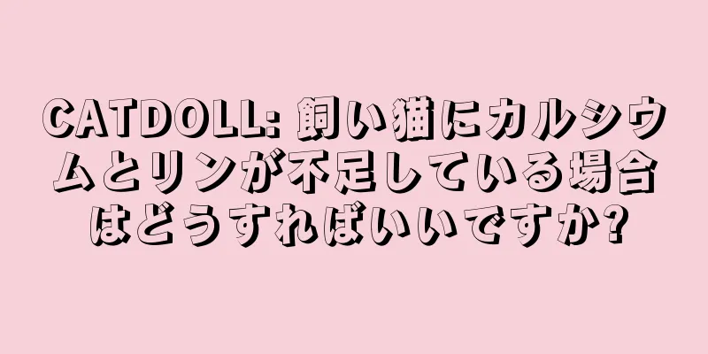 CATDOLL: 飼い猫にカルシウムとリンが不足している場合はどうすればいいですか?