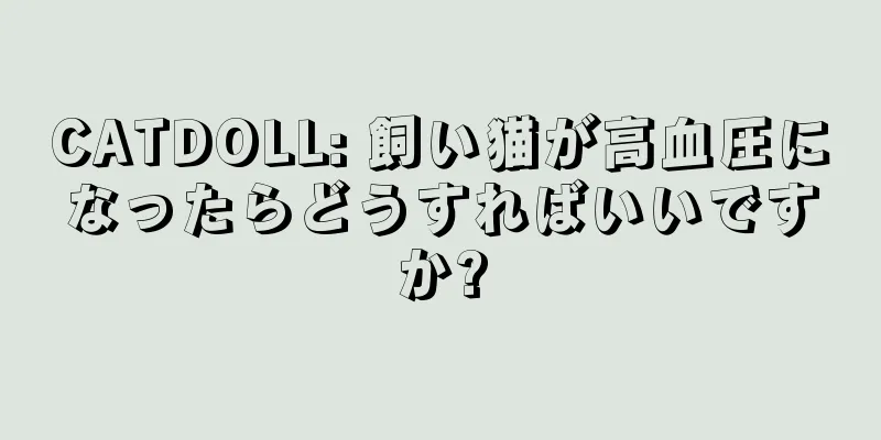 CATDOLL: 飼い猫が高血圧になったらどうすればいいですか?