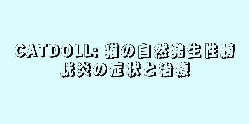 CATDOLL: 猫の自然発生性膀胱炎の症状と治療