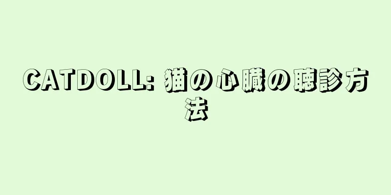 CATDOLL: 猫の心臓の聴診方法
