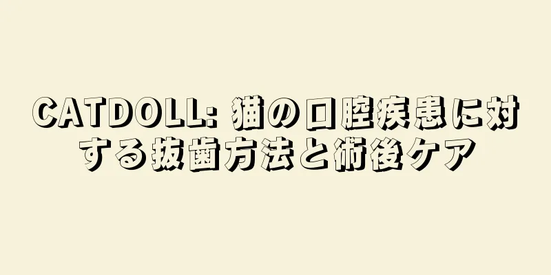 CATDOLL: 猫の口腔疾患に対する抜歯方法と術後ケア
