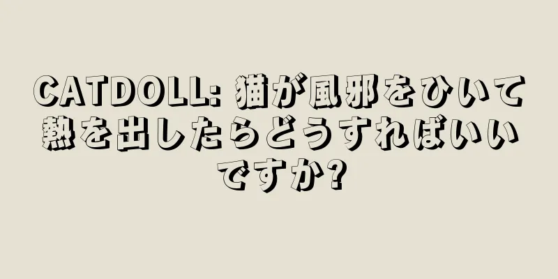 CATDOLL: 猫が風邪をひいて熱を出したらどうすればいいですか?