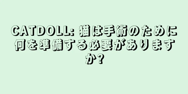 CATDOLL: 猫は手術のために何を準備する必要がありますか?