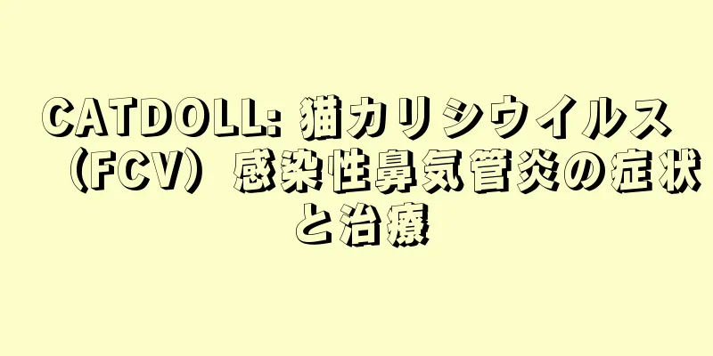 CATDOLL: 猫カリシウイルス（FCV）感染性鼻気管炎の症状と治療