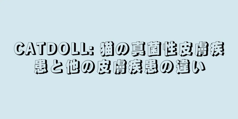 CATDOLL: 猫の真菌性皮膚疾患と他の皮膚疾患の違い
