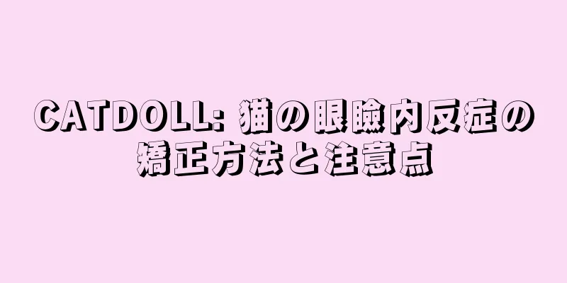 CATDOLL: 猫の眼瞼内反症の矯正方法と注意点