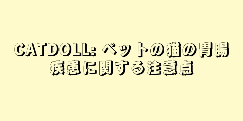 CATDOLL: ペットの猫の胃腸疾患に関する注意点