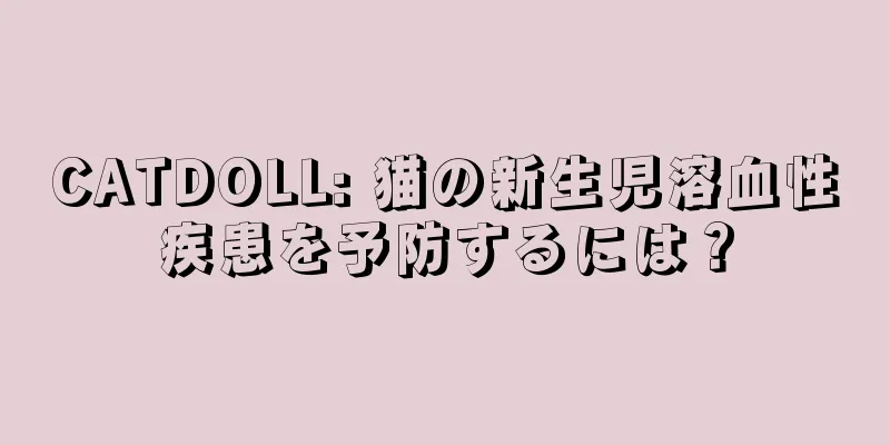 CATDOLL: 猫の新生児溶血性疾患を予防するには？