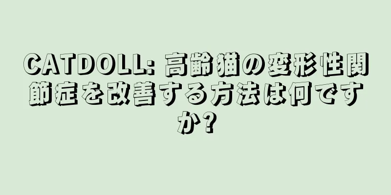 CATDOLL: 高齢猫の変形性関節症を改善する方法は何ですか?
