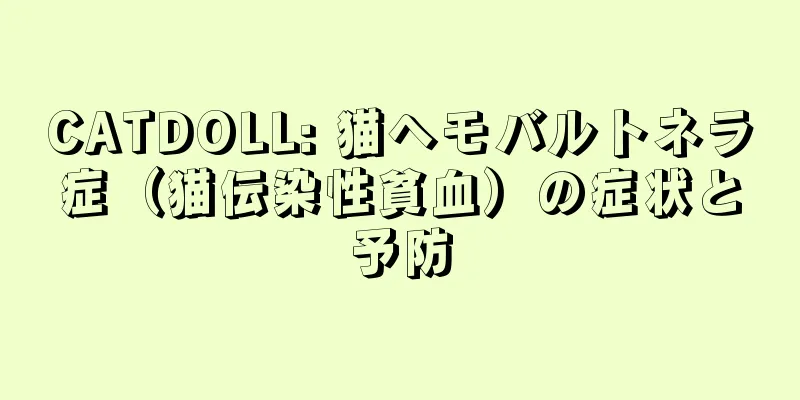 CATDOLL: 猫ヘモバルトネラ症（猫伝染性貧血）の症状と予防