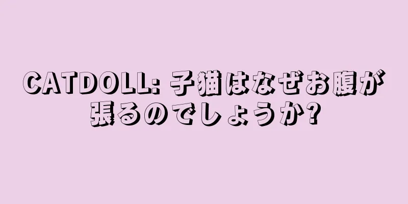 CATDOLL: 子猫はなぜお腹が張るのでしょうか?