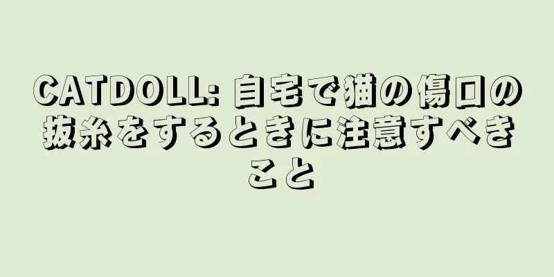 CATDOLL: 自宅で猫の傷口の抜糸をするときに注意すべきこと
