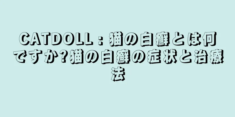 CATDOLL : 猫の白癬とは何ですか?猫の白癬の症状と治療法