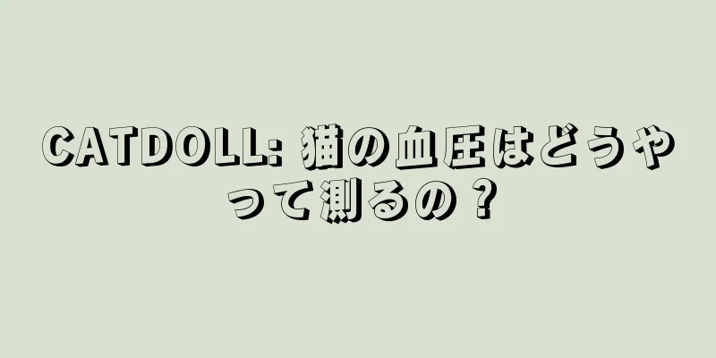 CATDOLL: 猫の血圧はどうやって測るの？