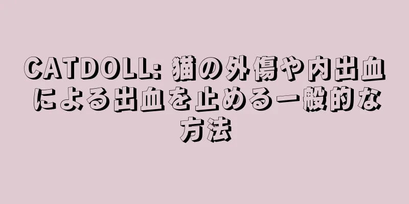 CATDOLL: 猫の外傷や内出血による出血を止める一般的な方法