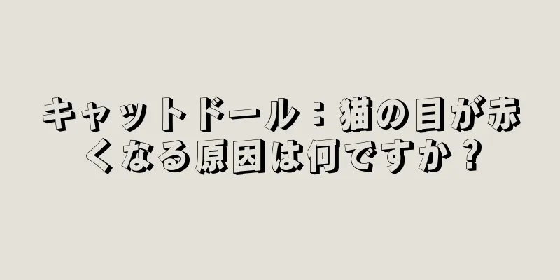 キャットドール：猫の目が赤くなる原因は何ですか？