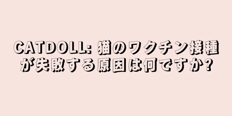 CATDOLL: 猫のワクチン接種が失敗する原因は何ですか?